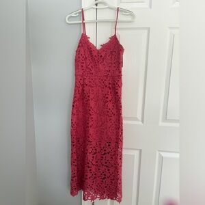 Francesca XS stunning dress brand new with tags